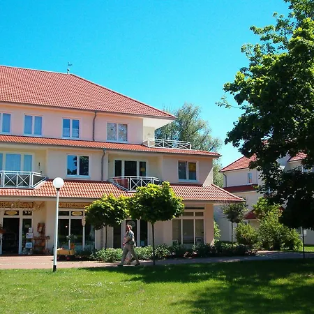 Armeria Boltenhagen (Ostseebad)